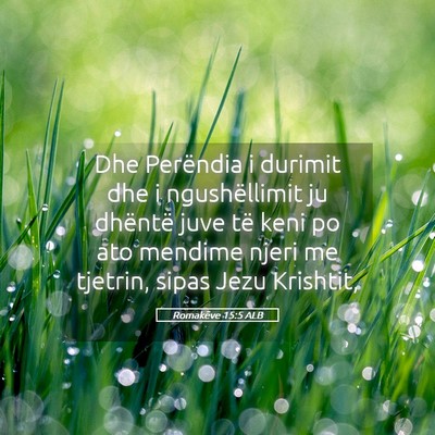 Picture 05 - Romakëve 15:5 ALB - Dhe Perëndia i durimit dhe i ngushëllimit ju - Bible Verse Picture
