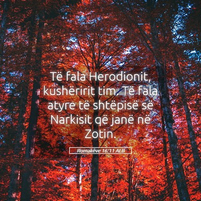 Picture 05 - Romakëve 16:11 ALB - Të fala Herodionit, kushëririt tim. Të fala - Bible Verse Picture