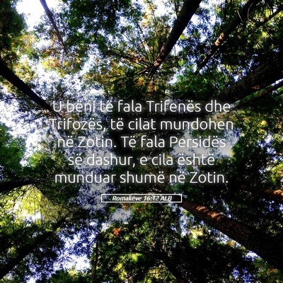 Picture 05 - Romakëve 16:12 ALB - U bëni të fala Trifenës dhe Trifozës, të - Bible Verse Picture