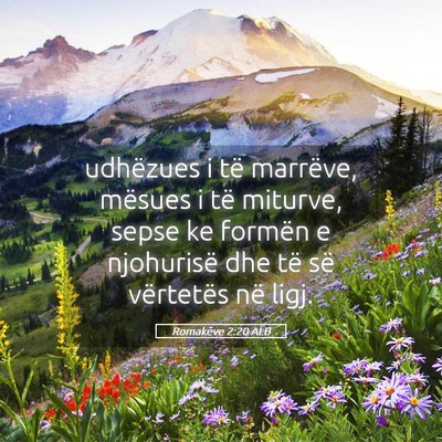 Picture 05 - Romakëve 2:20 ALB - udhëzues i të marrëve, mësues i të miturve, - Bible Verse Picture