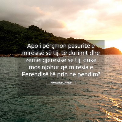 Picture 05 - Romakëve 2:4 ALB - Apo i përçmon pasuritë e mirësisë së tij, - Bible Verse Picture