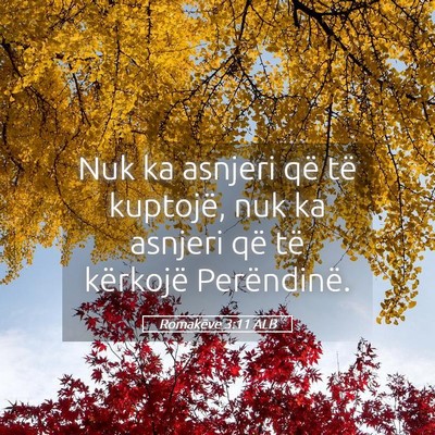 Picture 05 - Romakëve 3:11 ALB - Nuk ka asnjeri që të kuptojë, nuk ka asnjeri - Bible Verse Picture