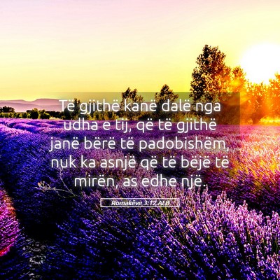 Picture 05 - Romakëve 3:12 ALB - Të gjithë kanë dalë nga udha e tij, që të - Bible Verse Picture