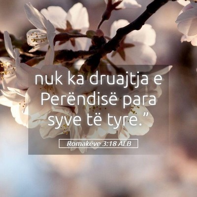 Picture 05 - Romakëve 3:18 ALB - nuk ka druajtja e Perëndisë para syve të - Bible Verse Picture