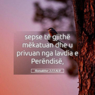Picture 05 - Romakëve 3:23 ALB - sepse të gjithë mëkatuan dhe u privuan nga - Bible Verse Picture