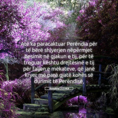 Picture 05 - Romakëve 3:25 ALB - Atë ka paracaktuar Perëndia për të bërë - Bible Verse Picture
