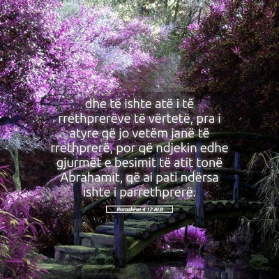 Picture 05 - Romakëve 4:12 ALB - dhe të ishte atë i të rrethprerëve të - Bible Verse Picture
