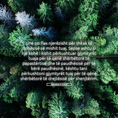 Picture 05 - Romakëve 6:19 ALB - Unë po flas njerëzisht për shkak të - Bible Verse Picture