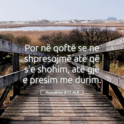 Picture 05 - Romakëve 8:25 ALB - Por në qoftë se ne shpresojmë atë që s’e - Bible Verse Picture