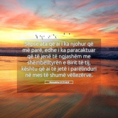 Picture 05 - Romakëve 8:29 ALB - Sepse ata që ai i ka njohur që më parë, edhe - Bible Verse Picture