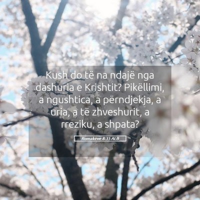 Picture 05 - Romakëve 8:35 ALB - Kush do të na ndajë nga dashuria e Krishtit? - Bible Verse Picture