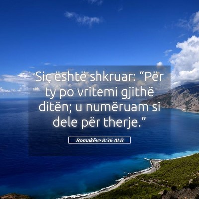 Picture 05 - Romakëve 8:36 ALB - Siç është shkruar: “Për ty po vritemi - Bible Verse Picture