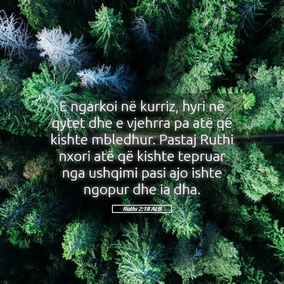 Picture 05 - Ruthi 2:18 ALB - E ngarkoi në kurriz, hyri në qytet dhe e - Bible Verse Picture