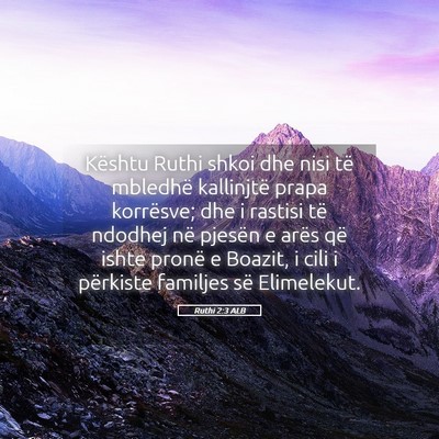 Picture 05 - Ruthi 2:3 ALB - Kështu Ruthi shkoi dhe nisi të mbledhë - Bible Verse Picture