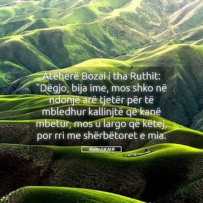 Picture 05 - Ruthi 2:8 ALB - Atëherë Bozai i tha Ruthit: 
