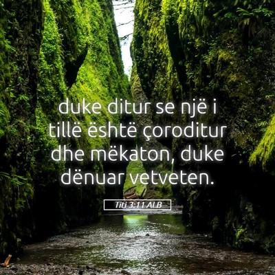Picture 05 - Titi 3:11 ALB - duke ditur se një i tillë është çoroditur - Bible Verse Picture