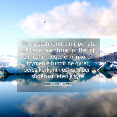 Picture 05 - Vajtimet 1:19 ALB - Thirra dashnorët e mi, por ata më kanë - Bible Verse Picture