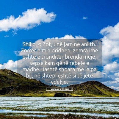 Picture 05 - Vajtimet 1:20 ALB - Shiko, o Zot, unë jam në ankth. Zorrët e mia - Bible Verse Picture