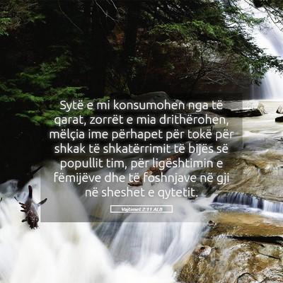 Picture 05 - Vajtimet 2:11 ALB - Sytë e mi konsumohen nga të qarat, zorrët e - Bible Verse Picture