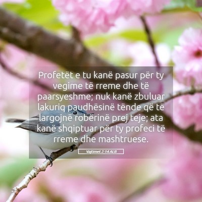 Picture 05 - Vajtimet 2:14 ALB - Profetët e tu kanë pasur për ty vegime të - Bible Verse Picture