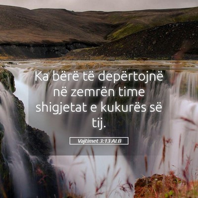 Picture 05 - Vajtimet 3:13 ALB - Ka bërë të depërtojnë në zemrën time - Bible Verse Picture