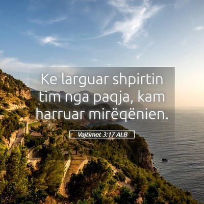 Picture 05 - Vajtimet 3:17 ALB - Ke larguar shpirtin tim nga paqja, kam harruar - Bible Verse Picture