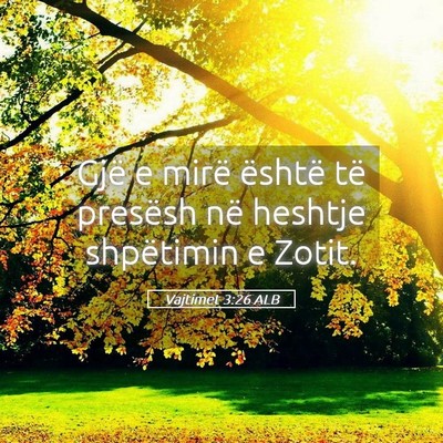 Picture 05 - Vajtimet 3:26 ALB - Gjë e mirë është të presësh në heshtje - Bible Verse Picture
