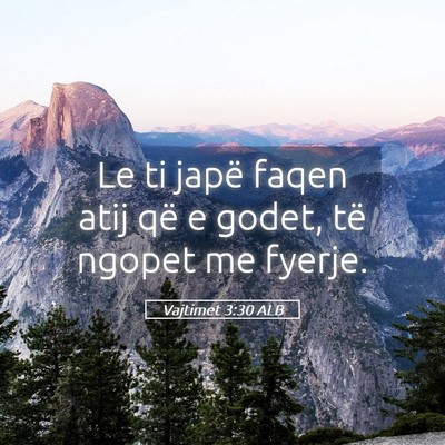 Picture 05 - Vajtimet 3:30 ALB - Le ti japë faqen atij që e godet, të ngopet me - Bible Verse Picture