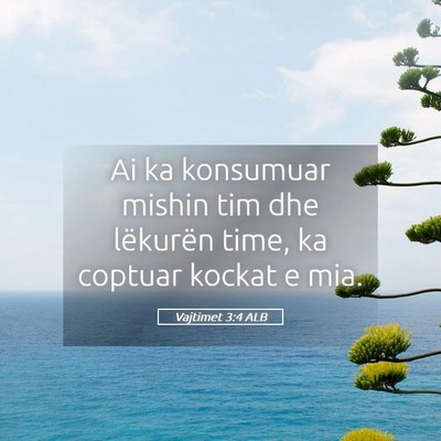 Picture 05 - Vajtimet 3:4 ALB - Ai ka konsumuar mishin tim dhe lëkurën time, ka - Bible Verse Picture