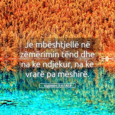 Picture 05 - Vajtimet 3:43 ALB - Je mbështjellë në zëmërimin tënd dhe na ke - Bible Verse Picture
