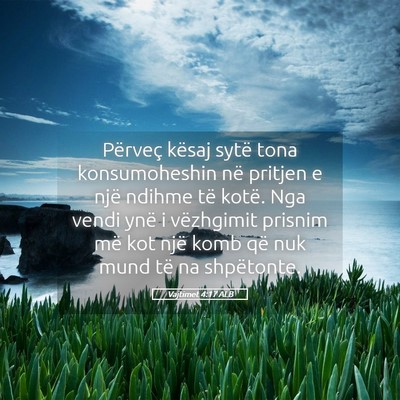 Picture 05 - Vajtimet 4:17 ALB - Përveç kësaj sytë tona konsumoheshin në - Bible Verse Picture