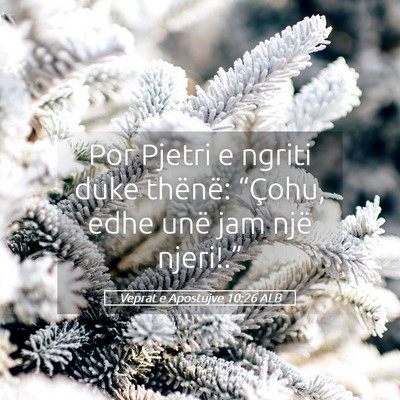 Picture 05 - Veprat e Apostujve 10:26 ALB - Por Pjetri e ngriti duke thënë: “Çohu, edhe - Bible Verse Picture