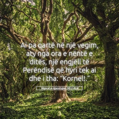 Picture 05 - Veprat e Apostujve 10:3 ALB - Ai pa qartë në një vegim, aty nga ora e - Bible Verse Picture