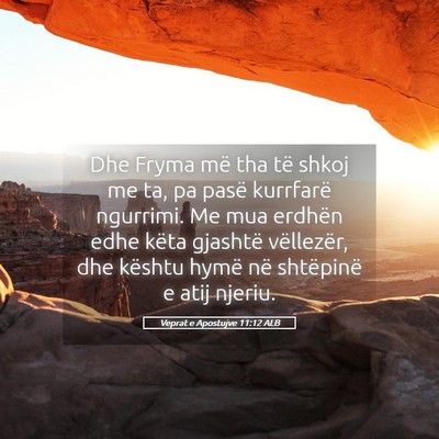 Picture 05 - Veprat e Apostujve 11:12 ALB - Dhe Fryma më tha të shkoj me ta, pa pasë - Bible Verse Picture