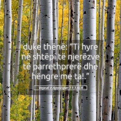Picture 05 - Veprat e Apostujve 11:3 ALB - duke thënë: “Ti hyre në shtëpi të - Bible Verse Picture