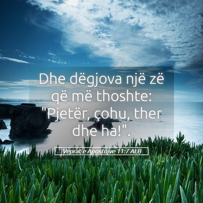 Picture 05 - Veprat e Apostujve 11:7 ALB - Dhe dëgjova një zë që më thoshte: 