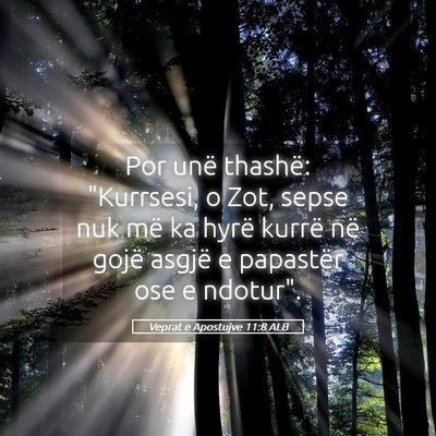 Picture 05 - Veprat e Apostujve 11:8 ALB - Por unë thashë: 