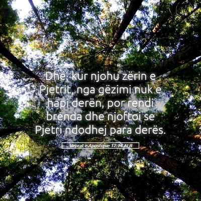 Picture 05 - Veprat e Apostujve 12:14 ALB - Dhe, kur njohu zërin e Pjetrit, nga gëzimi nuk - Bible Verse Picture