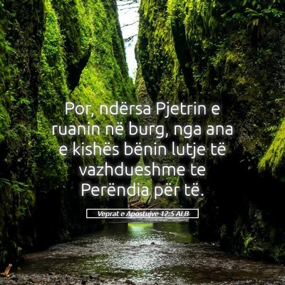Picture 05 - Veprat e Apostujve 12:5 ALB - Por, ndërsa Pjetrin e ruanin në burg, nga ana e - Bible Verse Picture