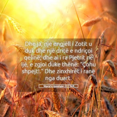 Picture 05 - Veprat e Apostujve 12:7 ALB - Dhe ja, një engjëll i Zotit u duk dhe një - Bible Verse Picture