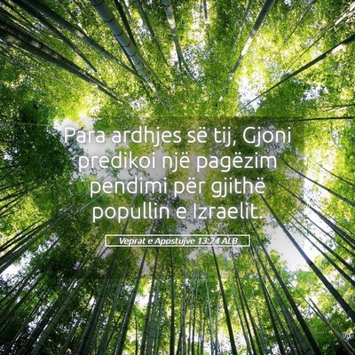 Picture 05 - Veprat e Apostujve 13:24 ALB - Para ardhjes së tij, Gjoni predikoi një - Bible Verse Picture