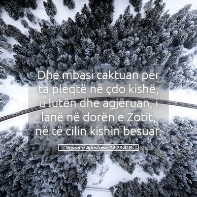 Picture 05 - Veprat e Apostujve 14:23 ALB - Dhe mbasi caktuan për ta pleqtë në çdo - Bible Verse Picture