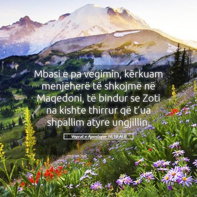 Picture 05 - Veprat e Apostujve 16:10 ALB - Mbasi e pa vegimin, kërkuam menjëherë të - Bible Verse Picture