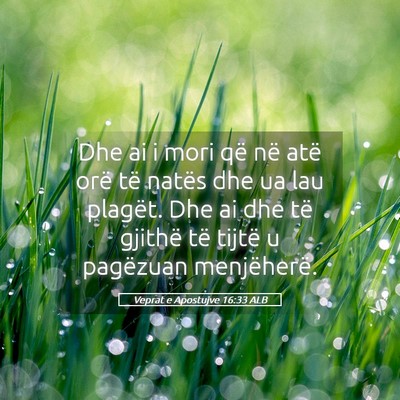 Picture 05 - Veprat e Apostujve 16:33 ALB - Dhe ai i mori që në atë orë të natës dhe ua - Bible Verse Picture