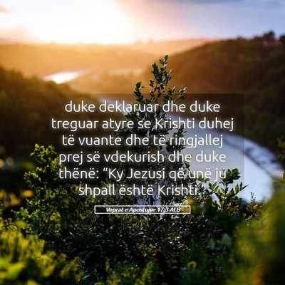 Picture 05 - Veprat e Apostujve 17:3 ALB - duke deklaruar dhe duke treguar atyre se Krishti - Bible Verse Picture