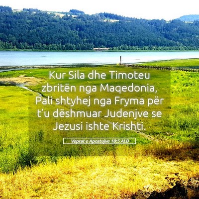 Picture 05 - Veprat e Apostujve 18:5 ALB - Kur Sila dhe Timoteu zbritën nga Maqedonia, Pali - Bible Verse Picture