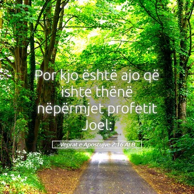 Picture 05 - Veprat e Apostujve 2:16 ALB - Por kjo është ajo që ishte thënë nëpërmjet - Bible Verse Picture