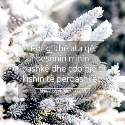 Picture 05 - Veprat e Apostujve 2:44 ALB - Por gjithë ata që besonin rrinin bashkë dhe - Bible Verse Picture