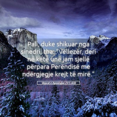 Picture 05 - Veprat e Apostujve 23:1 ALB - Pali, duke shikuar nga sinedri, tha: - Bible Verse Picture
