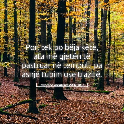 Picture 05 - Veprat e Apostujve 24:18 ALB - Por, tek po bëja këtë, ata më gjetën të - Bible Verse Picture